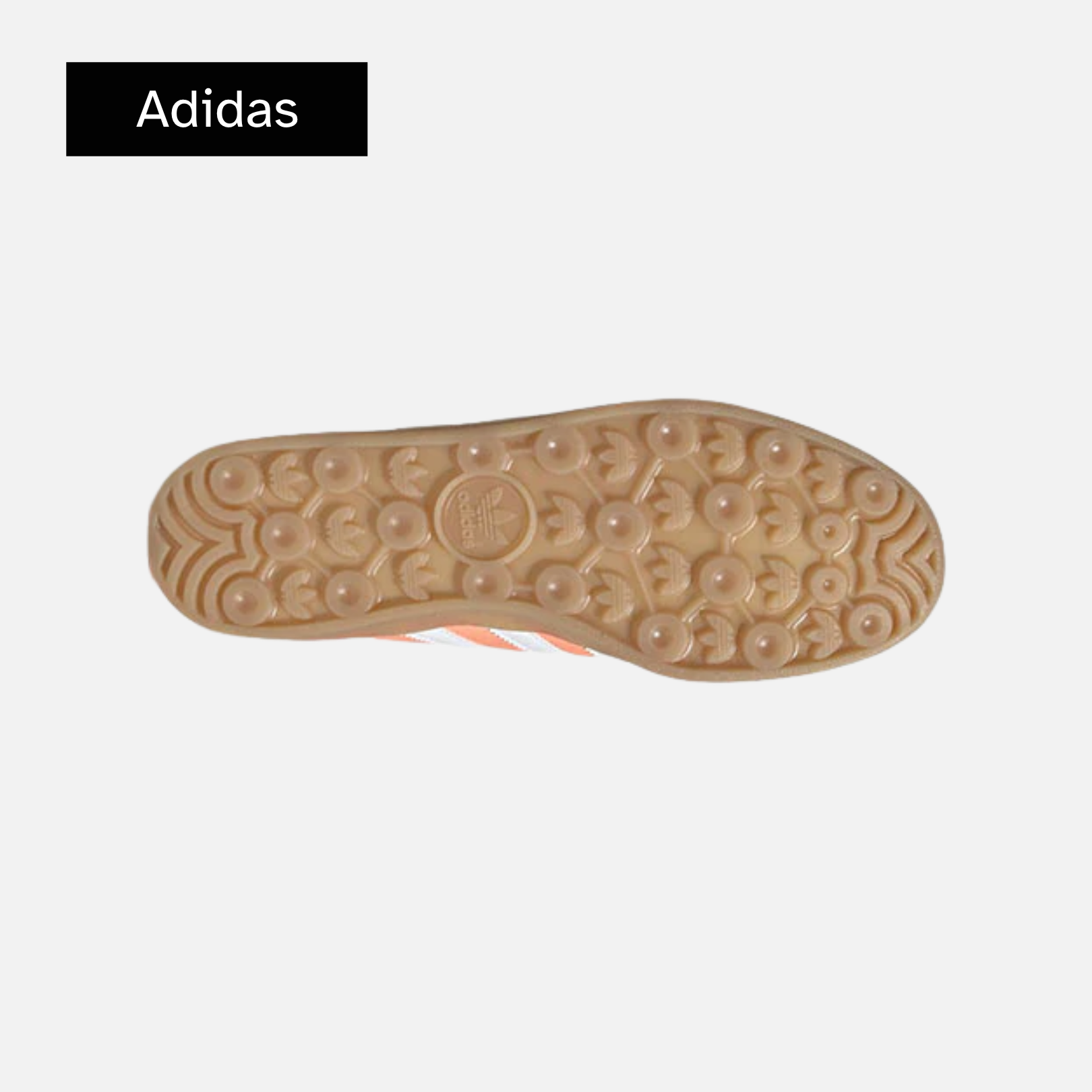 Gazelle Indoor 'Beam Orange Gum'