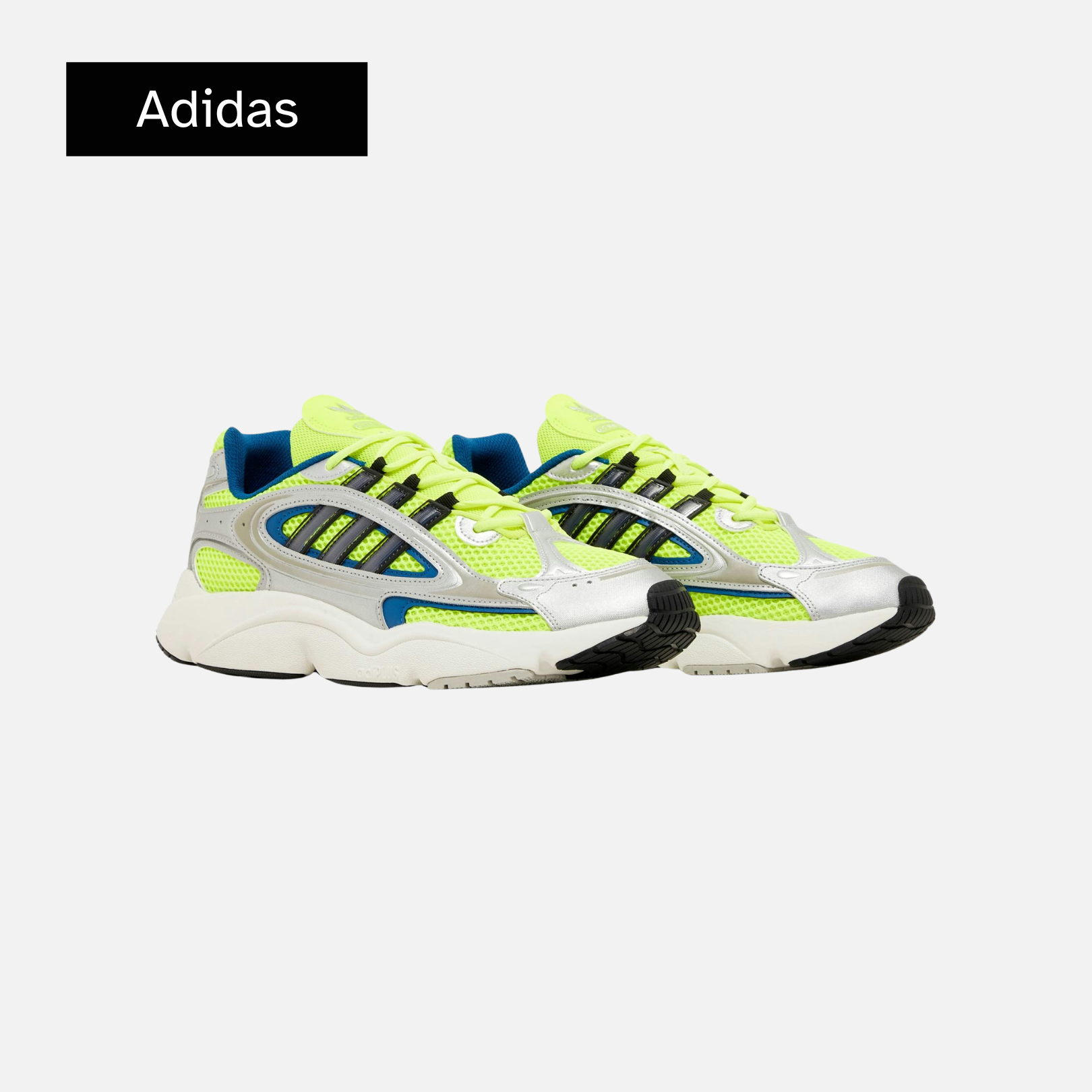 Ozmillen 'Silver Solar Yellow'
