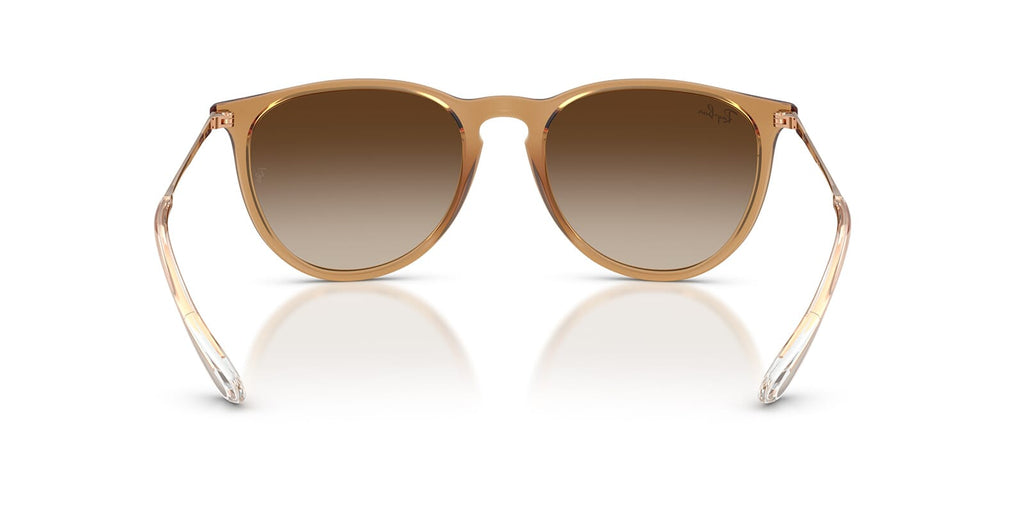 Ray-Ban Erika RB 4171 6814/13 - As Seen On David Warner