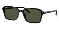 Ray-Ban Raimond RB 2231 901/31